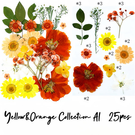 Pressed flowers and leaves| Shades of Yellow&Orange Collection