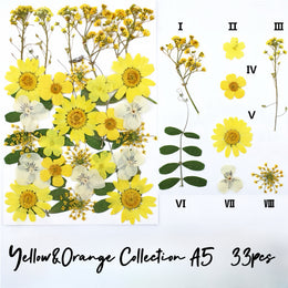 Yellow&Orange A5