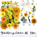 Yellow&Orange A6
