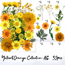 Yellow&Orange A6
