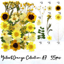 Yellow&Orange A7