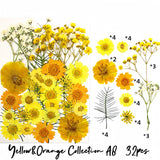 Yellow&Orange A8