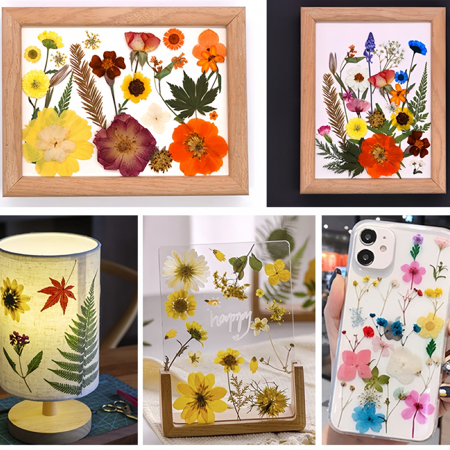 Dried Pressed Flowers & Leaves | Vintage Edition